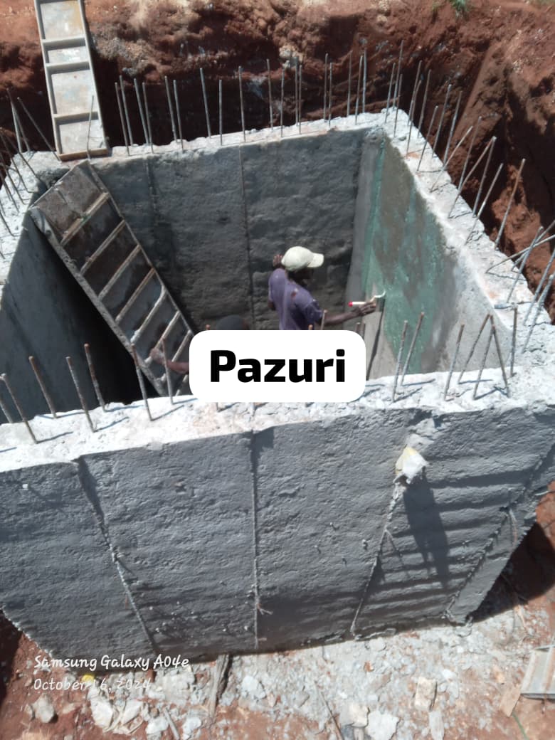 Pahali Pazuri project - Final result